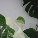 39869dc0-4f7f-439b-b31c-68f24dbabc89