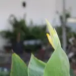 ac53b4cc-a07f-4c10-b093-f52dff8ba827