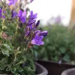 ebc5bb64-c77a-4e4a-afd2-87c703a14d03