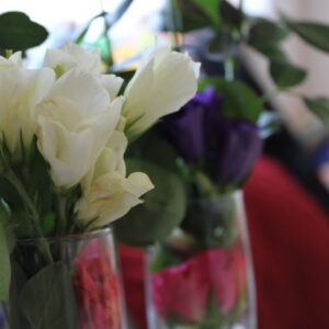 Eustoma grandiflorum ‘Sapphire’